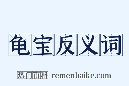 龟宝反义词是什么意思的图片